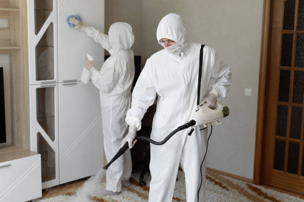 Crawl Space Mold Removal in Kapaau, HI