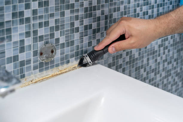 Best Local Mold Removal Service  in Kapaau, HI