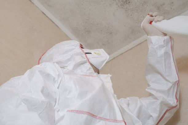 Best Mold Damage Repair  in Kapaau, HI