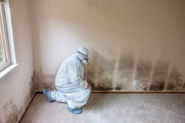 Crawl Space Mold Removal in Kapaau, HI