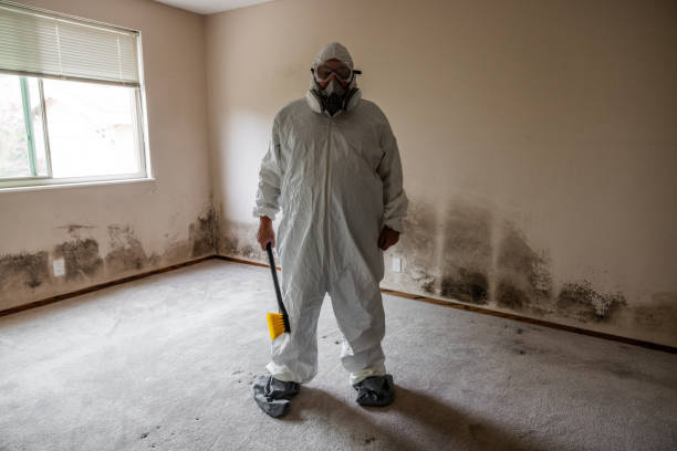 Best Mold Cleaning Services  in Kapaau, HI